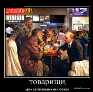 299031_798737.jpg