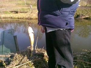 IMG_20150410_151313.jpg