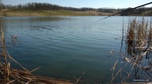 WP_20150411_014.jpg