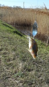 20150415_085606.jpg