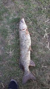 20150415_101633.jpg