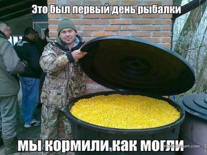 XjdA2jJeCOc.jpg