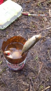 20150418_112158.jpg