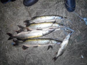 2014930183752.jpg