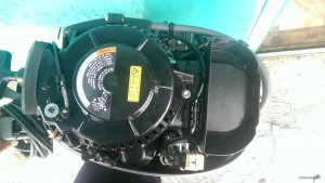 IMAG1124.jpg