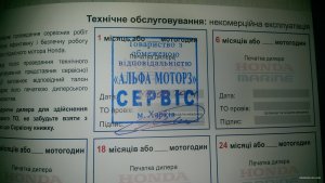 IMAG1137.jpg