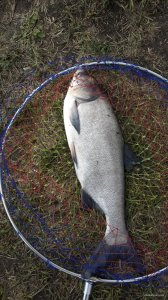 20150422_133354.jpg