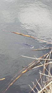20150422_153140.jpg