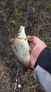 20150422_134336.jpg