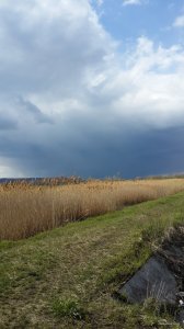 20150422_152633.jpg