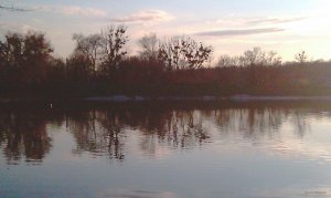 IMAG1137.jpg