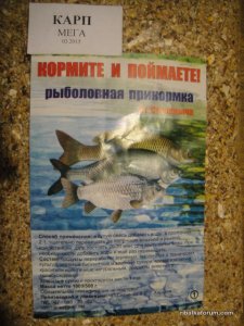 DSC07051.JPG