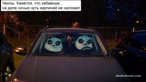 3S5rCGyG4bw.jpg