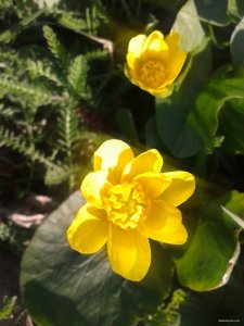 2015-04-23 17.01.54.jpg