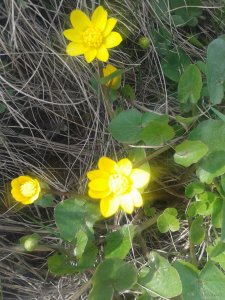 2015-04-23 12.04.26.jpg