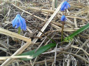 2015-04-23 07.17.21.jpg