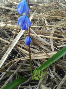 2015-04-23 07.17.09.jpg