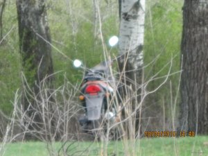 IMG_2768[1].JPG