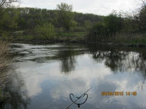 IMG_2767[1].JPG