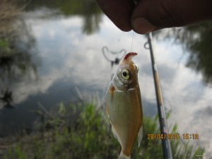 IMG_2770[1].JPG