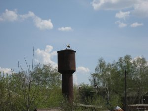 IMG_0045.JPG