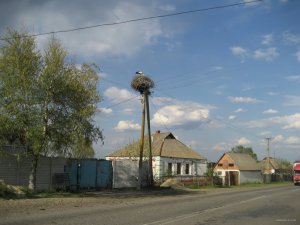 IMG_0061.JPG