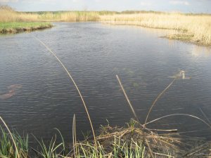 IMG_0082.JPG