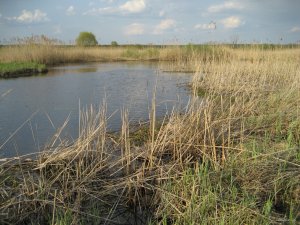 IMG_0083.JPG