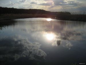 IMG_0084.JPG