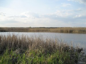 IMG_0086.JPG