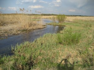 IMG_0077.JPG