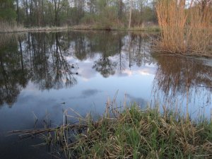 IMG_0094.JPG