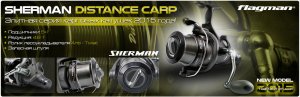 distance-carp.jpg
