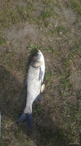 20150429_094207.jpg