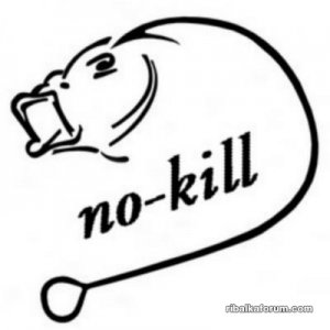 __00001_ref-2055-sticker-autocollant-carpe-20-20-cm.jpg