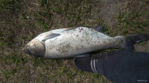 20150429_114606.jpg