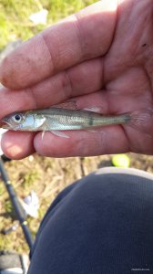 20150429_072248.jpg