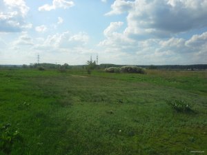 20150501_160805.jpg