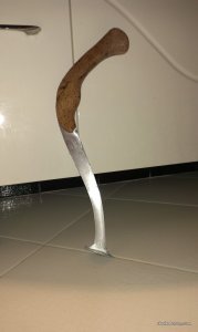 IMAG1302.jpg
