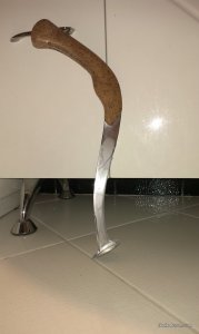 IMAG1303.jpg