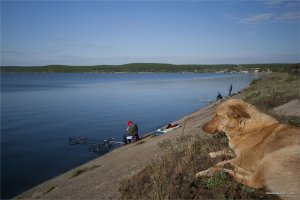 _MG_8215 копия.jpg