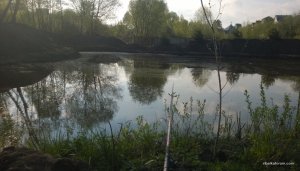 WP_20150502_021.jpg