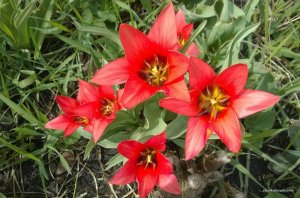 WP_20150423_002.jpg