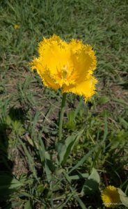 WP_20150506_035.jpg
