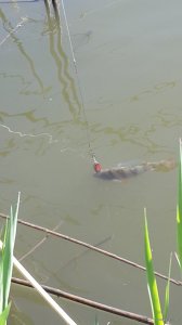 20150507_092047.jpg