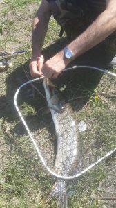 20150507_115458.jpg