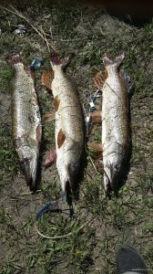 20150507_144727.jpg