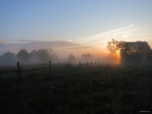 IMG_0279.JPG