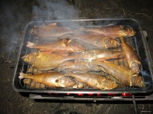 IMG_2222.JPG