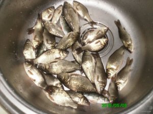 PICT0021.JPG